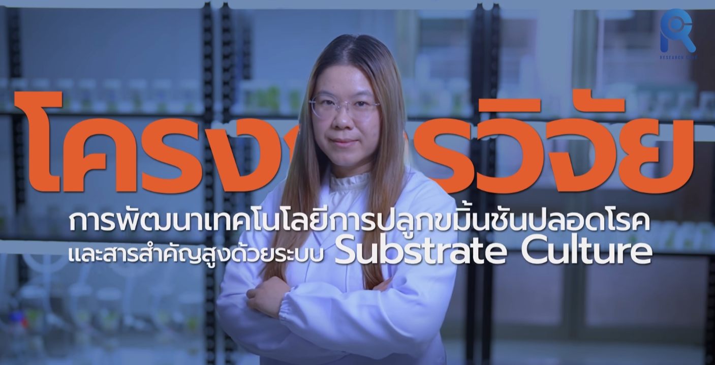  ยกระดับ “ขมิ้นชันเชียงราย” สู่มาตรฐานระดับโลก!